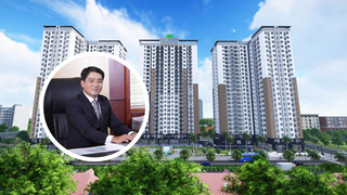 Xuân Mai Corp (XMC): Lợi nhuận liên tục giảm, chủ tịch muốn thoái sạch vốn