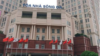 Sông Đà 1 bị xử phạt do không công bố thông tin