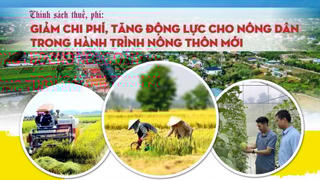 Chính sách thuế, phí: Giảm chi phí, tăng động lực cho nông dân trong hành trình nông thôn mới