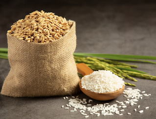 Ngành gạo quý III/2025: Một số doanh nghiệp lãi đột biến, số khác vẫn còn lỗ nặng