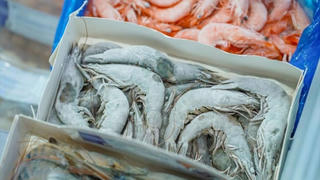 Xuất khẩu tôm sang Trung Quốc tăng mạnh