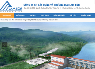 Vừa sạch nợ trái phiếu, doanh nghiệp của Chủ tịch Trương Đình Lam đang kinh doanh thế nào?