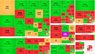 Thị trường chứng khoán hôm nay: VN-Index giữ sắc xanh nhờ lực đỡ từ nhóm vốn hóa lớn, ANV tăng trần