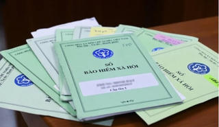 Vận tải Tân Mai, Xuất nhập khẩu Đông Dương, Goody Group bị phạt vì chậm đóng bảo hiểm