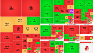 Thị trường chứng khoán hôm nay (21/11): Khối ngoại xả hơn 700 tỷ đồng cổ phiếu VIX