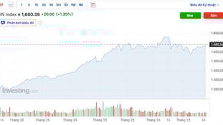 Cổ phiếu xanh sàn, VN-Index tăng 20 điểm