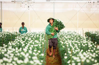 Thành viên Pan Group vừa tất toán 200 tỷ đồng trái phiếu, dư nợ còn bao nhiêu?