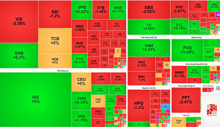 Thị trường chứng khoán hôm nay (28/11):VN-Index tăng nhẹ nhờ bất động sản, VIC tiếp tục gây ấn tượng