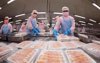 Xuất khẩu thủy sản duy trì đà phục hồi mạnh, kim ngạch 10 tháng vượt 9,5 tỷ USD