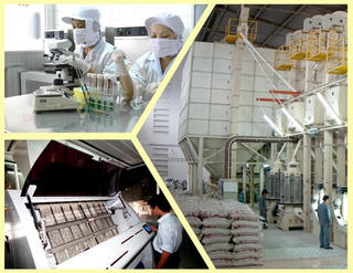 Afiex chính thức lên HoSE từ ngày 8/12, giá tham chiếu 11.300 đồng/cổ phiếu