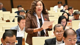 Đại biểu đề nghị có chính sách ưu đãi tín dụng, thuế TNDN phát triển cơ sở dưỡng lão