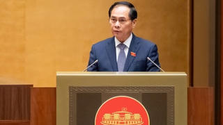 Chính phủ muốn có nhiều chính sách ưu đãi vượt trội về thuế tại khu thương mại tự do Tp.HCM