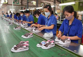 Doanh thu giảm mạnh, hoạt động kém sắc nhưng vì sao cổ phiếu GTD bất ngờ tăng trần nhiều phiên?