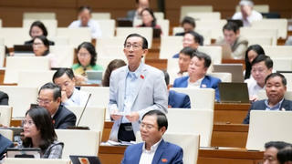 Đề nghị nghiên cứu miễn thuế, hoàn thuế cho những hộ sản xuất kinh doanh bị ảnh hưởng bởi bão lũ