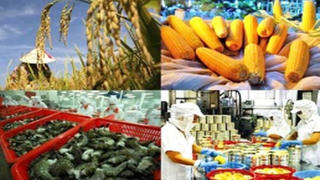 Xuất khẩu nông, lâm, thủy sản vượt kỷ lục năm 2024