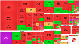 Thị trường chứng khoán hôm nay (5/12): VIC tăng trần, kéo thị trường tăng hơn 4 điểm