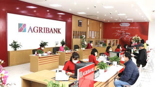 Agribank Sơn Tịnh còn một số hạn chế, sai sót trong hoạt động cấp tín dụng