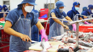 Xuất khẩu cá tra vượt mốc 2 tỷ USD