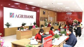 Petrolimex, Vietnam Airlines, Agribank, PVN...vào kế hoạch thanh tra 2026