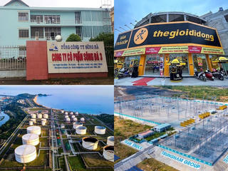 Điện mặt trời Trung Nam Thuận Nam bị phạt 92,5 triệu, SD3 tiếp tục lùi trả cổ tức năm 2015