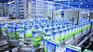 Tỷ phú Thái muốn dự chi 6.000 tỷ đồng mua thêm cổ phần Vinamilk