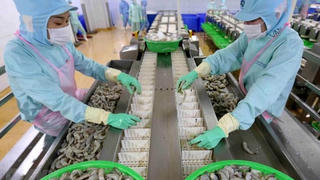 Quản lý chất lượng: Đòn bẩy nâng năng suất, khẳng định vị thế