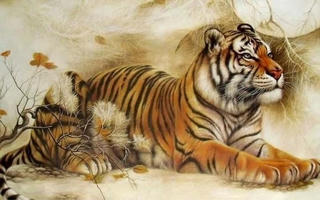 Tử vi tuần 22/12 – 28/12: Thời điểm bứt phá của 4 con giáp may mắn nhất