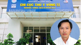 Truy tố loạt bị can trong vụ buôn lậu hơn 1.800 tỷ đồng tại Chi cục Thú y Vùng VI