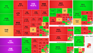 Thị trường chứng khoán hôm nay: VN-Index tăng hơn 21 điểm, họ Vin thăng hoa