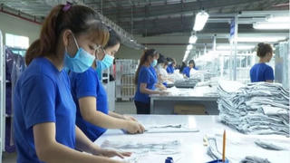 Đắk Lắk triển khai chương trình hỗ trợ doanh nghiệp nâng cao năng suất giai đoạn 2026 – 2030