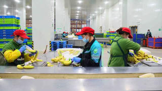 Hàng Trung Quốc giá rẻ càn quét việc làm khắp thế giới