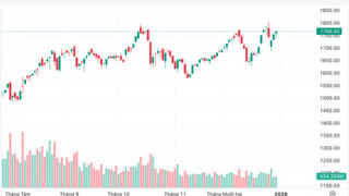 Cổ phiếu lớn hồi phục, VN-Index tăng gần 12 điểm