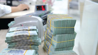 Tp.HCM thu ngân sách đạt trên 785 nghìn tỷ đồng