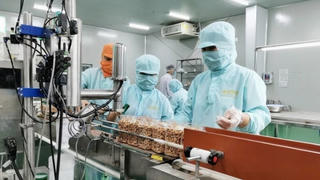 Doanh nghiệp ứng dụng công nghệ cao quy mô trên 12.000 tỷ đồng được đầu tư 100% vốn