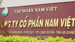 Chủ tịch Nam Việt muốn thoái toàn bộ vốn tại công ty