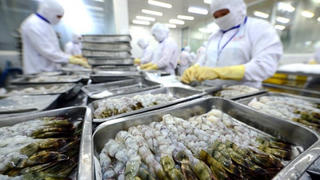 Thực phẩm Sao Ta dự kiến hoàn thành mục tiêu lợi nhuận năm dù gặp nhiều bất lợi