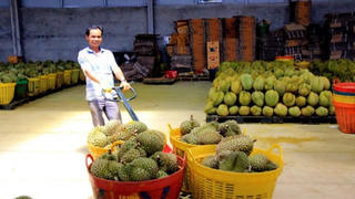 Xuất khẩu nông lâm thủy sản Việt Nam hướng tới kỷ lục mới 73-74 tỷ USD