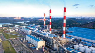 Nhiệt điện Quảng Ninh sắp chi 450 tỷ đồng trả cổ tức