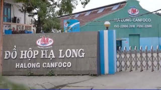 Bắt Tổng giám đốc Công ty Đồ hộp Hạ Long