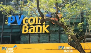 Gửi tiết kiệm 500 triệu tại PVCombank, sau 1 năm nhận lãi bao nhiêu?