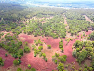 FLC của cựu Chủ tịch Trịnh Văn Quyết đón tin vui