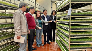 Hà Nội chủ động nguồn cung nông sản, thực phẩm phục vụ Tết Nguyên đán 2026