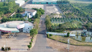 Thương hiệu hạt điều Hà Mỵ đứng sau LOTHA Airlines?