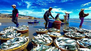 Doanh nghiệp thủy sản bứt phá trong năm 2025