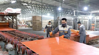 Áp dụng hệ thống quản lý, công cụ cải tiến vào sản xuất gỗ xuất khẩu