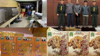 Tp.HCM triệt phá xưởng sản xuất thuốc đông y giả trộn thuốc kháng viêm, giảm đau