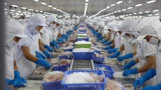 Vĩnh Hoàn muốn mua lại 15 triệu cổ phiếu VHC để giảm vốn điều lệ