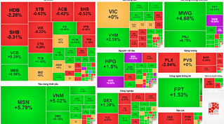 Chứng khoán hôm nay: MWG, MSN, VNM tăng mạnh, VN-Index hồi phục hơn 12 điểm
