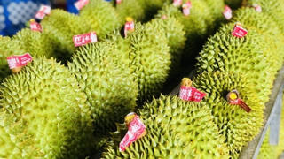 Nhiều nước siết chặt kiểm tra với nông sản Việt Nam