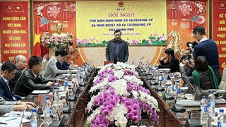 Phát huy hiệu quả hơn nữa trong công tác quản lý nhà nước về an toàn thực phẩm